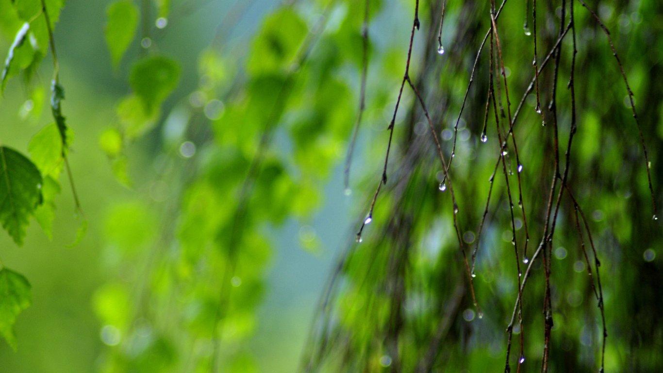 淋雨一直走曲谱_淋雨一直走(2)